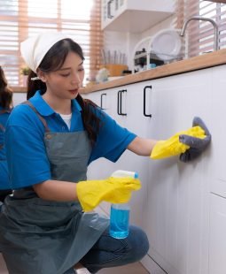 asian-young-woman-cleaning-the-countertops-cupboar-2025-01-08-17-41-22-XEPPTPU.jpg
